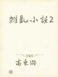 杂乱小说2