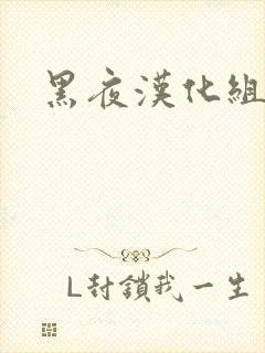 黑夜汉化组