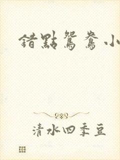 错点鸳鸯小说