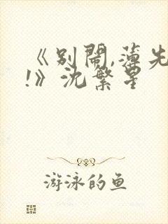 《别闹,薄先生!》沈繁星