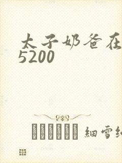 太子奶爸在花都5200