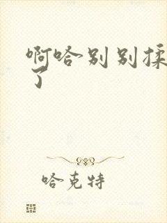 啊哈别别揉那处了