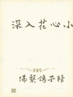 深入花心小说