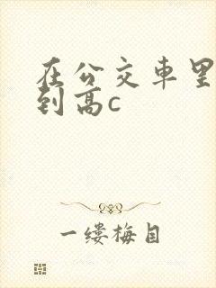 在公交车里c弄到高c