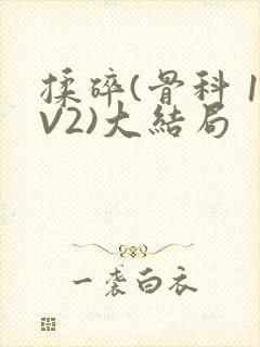 揉碎(骨科 1V2)大结局