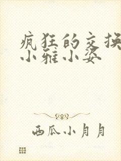 疯狂的交换小静小雅小姿