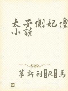 太子侧妃傻乎乎小说