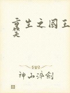 重生之国王的微笑