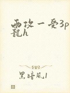 两攻一受3p双龙h