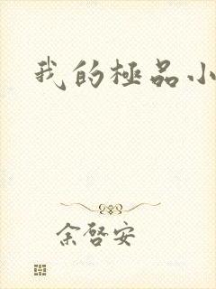 我的极品小姨