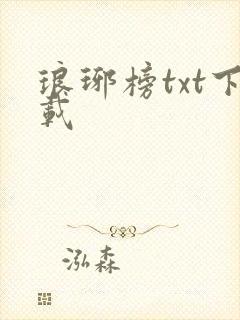 琅琊榜txt下载