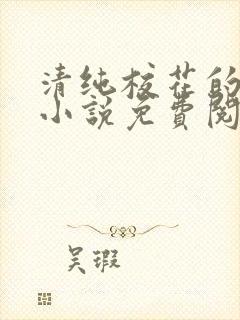 清纯校花的秘密小说免费阅读