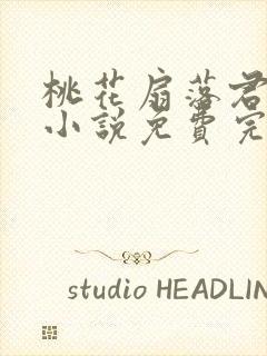 桃花扇落君不还小说免费完整版