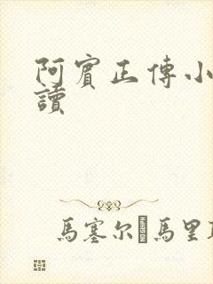 阿宾正传小说在读