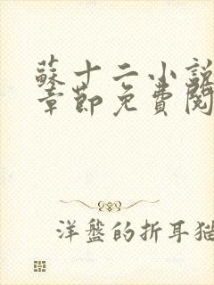 苏十二小说最新章节免费阅读