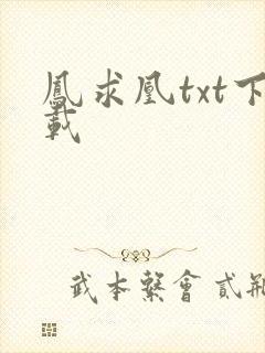 凤求凰txt下载