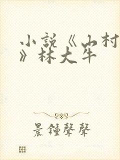 小说《山村情事》林大牛