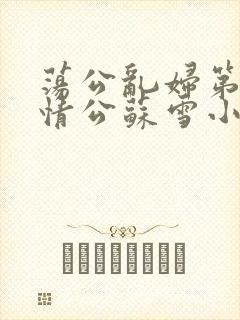 荡公乱妇第1章情公苏雪小说