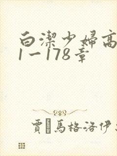 白洁少妇高义第1一178章