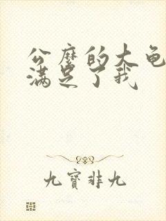 公么的大龟强大满足了我