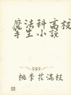 魔法科高校的劣等生小说