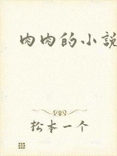 肉肉的小说