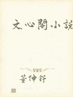文心阁小说