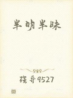 半明半昧