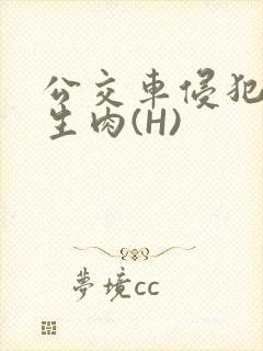 公交车侵犯小男生肉(H)