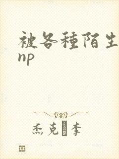 被各种陌生人 np