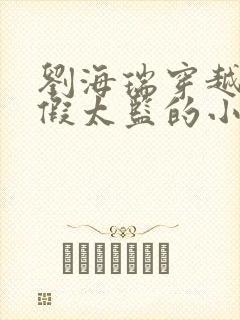 刘海瑞穿越后宫假太监的小说