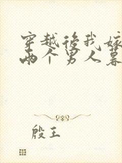 穿越后我嫁给了两个男人暮色酒歌