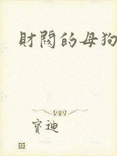 财阀的母狗们