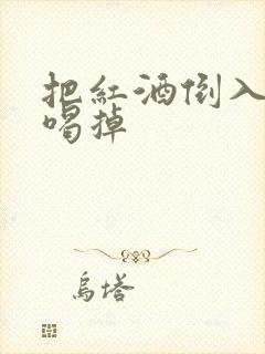 把红酒倒入b里喝掉