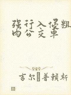 强行入侵粗暴h肉公交车