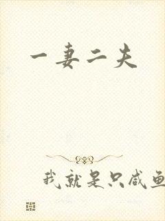 一妻二夫