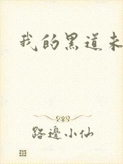 我的黑道未婚夫