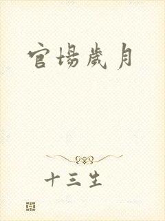 官场岁月