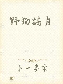 野狗摘月