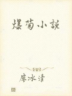 爆菊小说