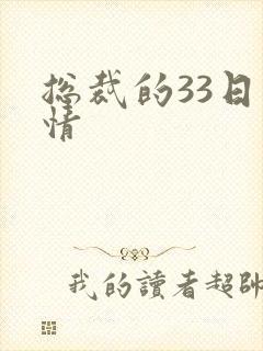 总裁的33日索情