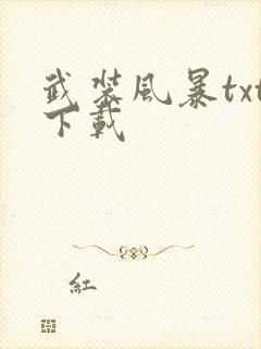 武装风暴txt下载