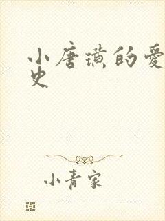 小唐璜的爱情历史