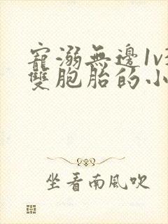 宠溺无边1v3双胞胎的小说