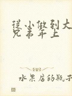 从小做到大骨科兄弟年上