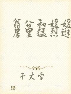 翁公和媛媛在厨房里猛烈进出