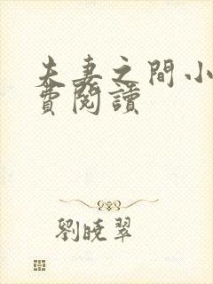 夫妻之间小说免费阅读