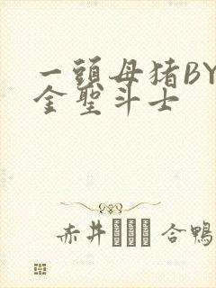 一头母猪BY黄金圣斗士