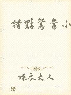 错点鸳鸯小说