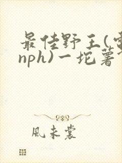 最佳野王(电竞nph)一坨薯饼